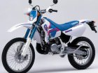 Yamaha DT 200WR